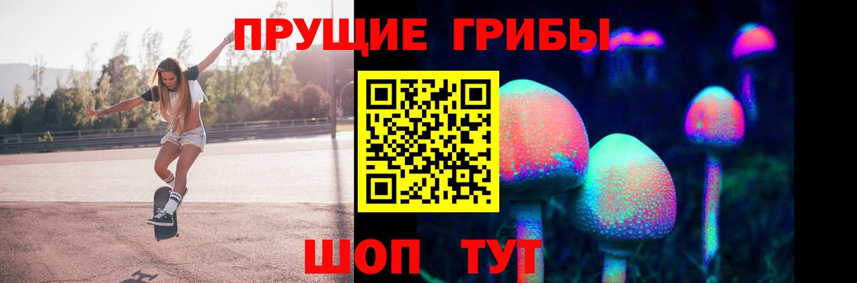 где можно купить наркотик  Галлюциногенные грибы GOLDEN TEACHER  Вход с VPN  Майкоп 